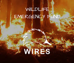 wildfire-emergency-fund